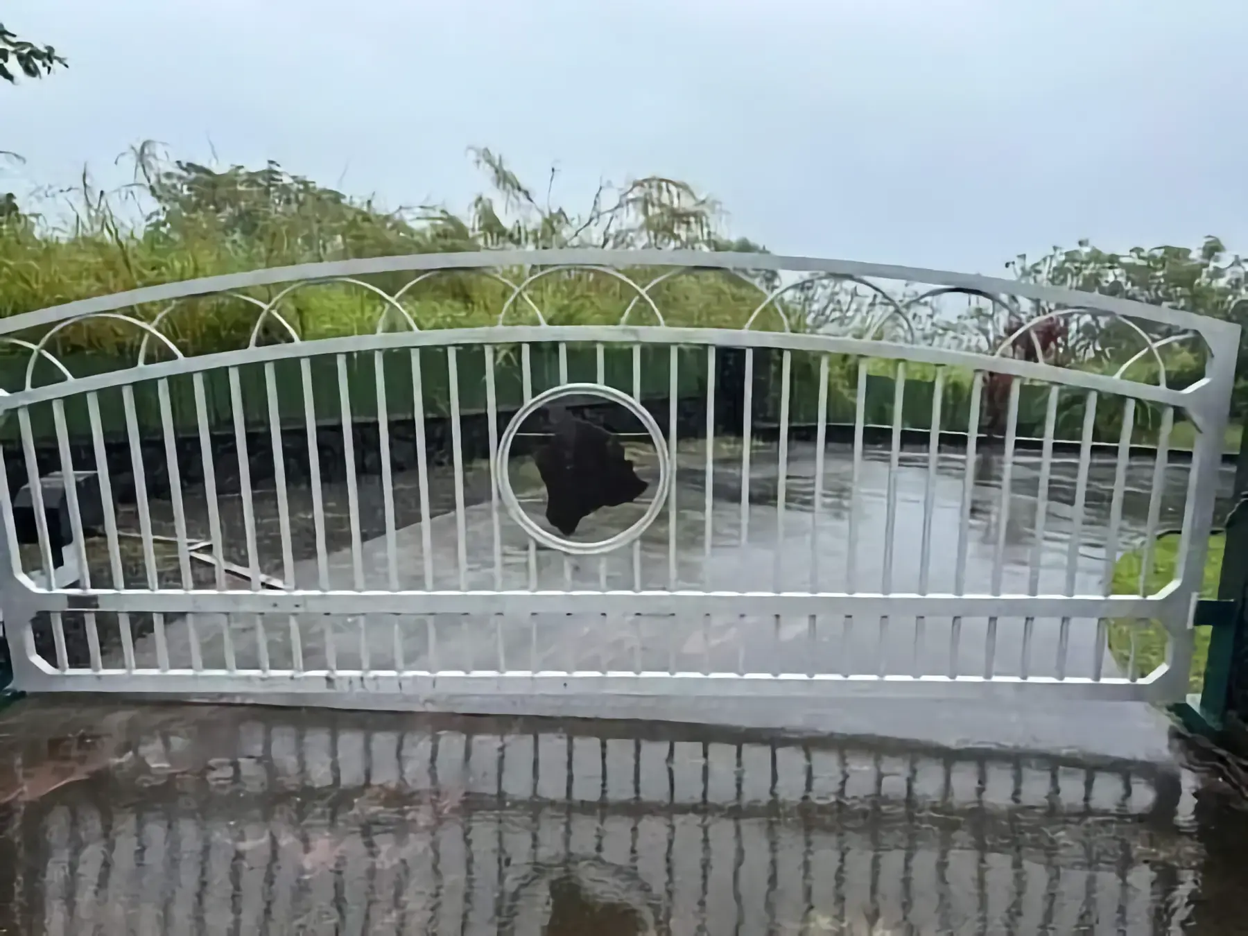 Custom Decorative Driveway Gate Restoration
